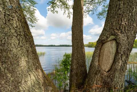INWESTYCJA NAD JEZIOREM, LINIA BRZEGOWA
