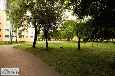 Przytulne 3-pokojowe, do zamieszkania bez nakładów