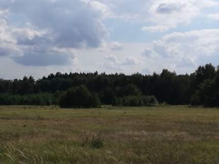 Konkurs ofert