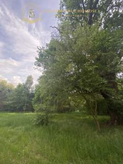ŻYCHLIN UNIKAT Działka W Lesie