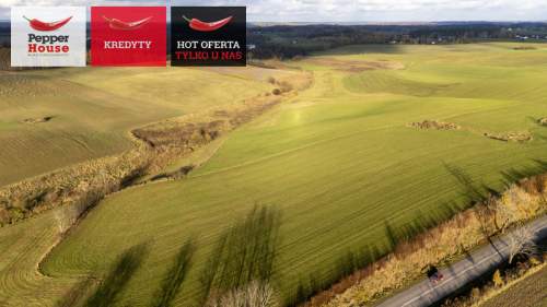 Niedamowo działka 4900 m2 200 m od jeziora