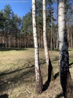 Konstancin Jeziorna, MPZP, sąsiedztwo rezydencji