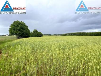 SPRZEDAM DZIAŁKĘ - GADY