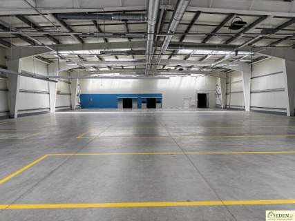 Do wynajęcia Hala z pomieszczeniami biurowymi 1600m2 400m2 w...
