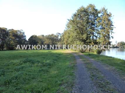 Działka siedliskowa na sprzedaż, 53200 m2, Odrano-Wola