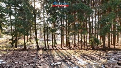 Działka budowlana na sprzedaż, 3363 m2, Lubcz Wielki