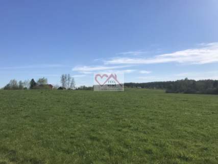 MICHAŁKI GM. PASYM - DZIAŁKI Z WARUNKAMI ZABUDOWY