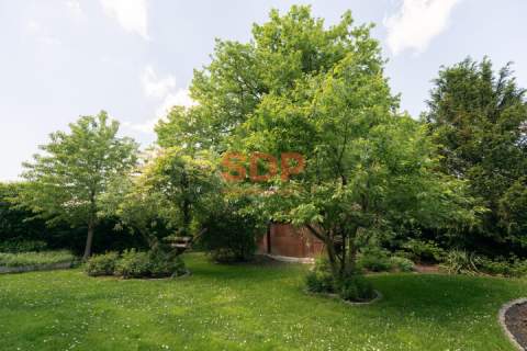 Klimatyczny dom w otoczeniu zieleni, Biskupin 240 m2 / 803 m2
