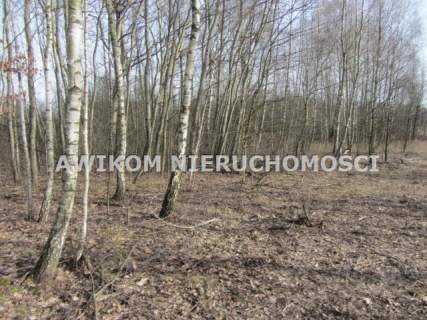 Działka budowlana na sprzedaż, 1148 m2, Zboiska