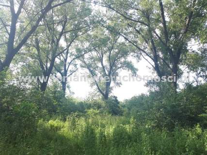 Działka budowlana na sprzedaż, 13000 m2, Jawidz