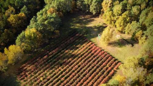 Działka 1,8ha ul. Błońska Nadarzyn S8 MPZP