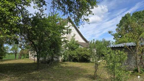 Siedlisko bez sąsiadów 4400 m2 prywatności Stary sad i wę
