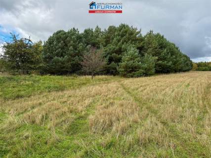 Działka budowlana na sprzedaż, 8200 m2, Rychlik