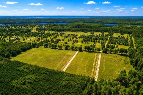 Okolica jeziora Dołgie i kompleksów leśnych.