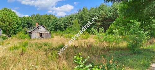 Siedlisko WARUNKI ZABUDOWY - 9400m2 lOkazja