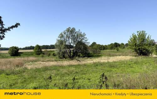 Działka rolka/łąka 2720 m2 w Zabrzu - Rokinicy