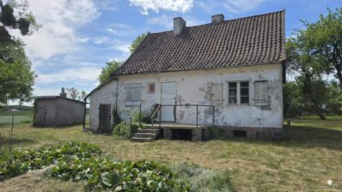 Siedlisko bez sąsiadów 4400 m2 prywatności Stary sad i wę