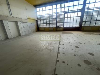 Wys.6m,magazyn,produkcja,parking,plac manewrowy,24