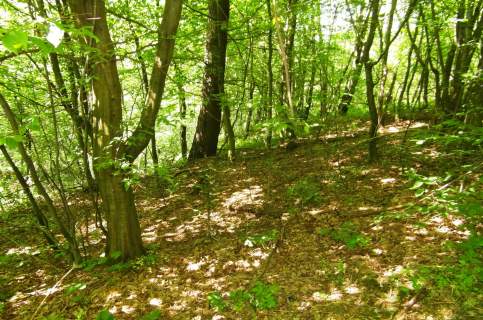 Działki 6100m2 w uroczym zakątku Bircza - las, łąka,staw