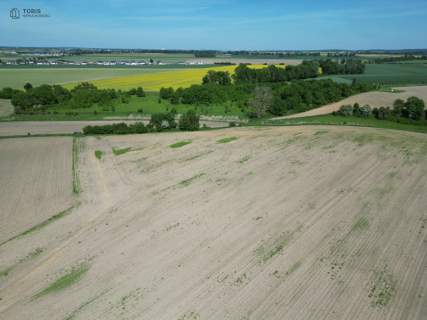 Działka budowlana 1662 m2 MPZP Trzcielin