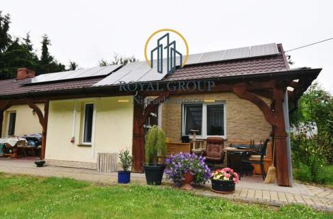 Dom wśród świerków