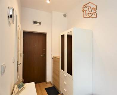 Wróblewskiego 54 - studio, pet friendly