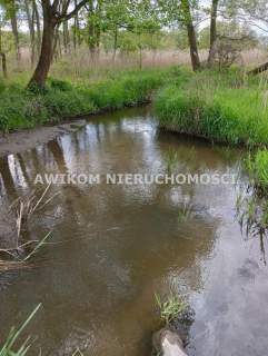 Działka budowlana na sprzedaż, 1500 m2, Sewerynów