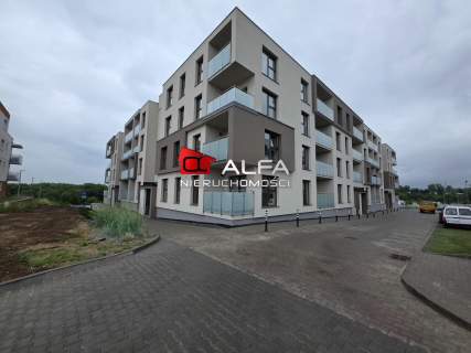 Mieszkanie do wynajęcia, 45 m2, Świdnica