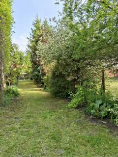 Dom 300m2 na działce 1800m2