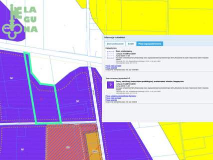 Działka rolna na terenie inwestycyjnym Kaszewy Dworne 23800 m2...