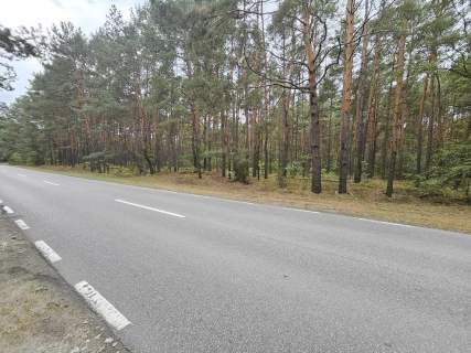 Na sprzedaz dzialka- lesna