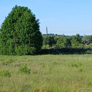 Działka z WZ 1000 m Częstochowa natura szybkie centrum
