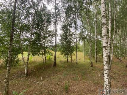 Działka budowlana w Gołąbku 1514m 