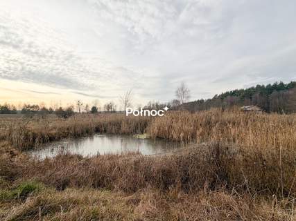Działka rolna 0,84 ha Turka, gmina Dorohusk
