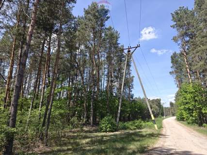 Krzyżówka urokliwa działka z potencjałem 