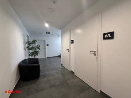 Biuro na wynajem 16 m2 Botanik