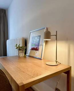 Luksusowy salon z aneksem i sypialnia, garaż