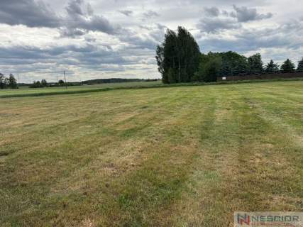 Duża działka z potencjałem 8690m2