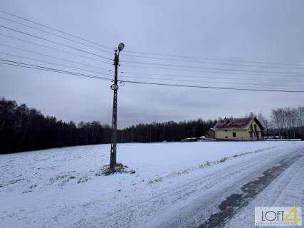 Duża działka z WZ - wiele możliwości