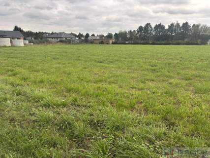 Działka budowlano-zagrodowa Teodorów, gm. Skórzec