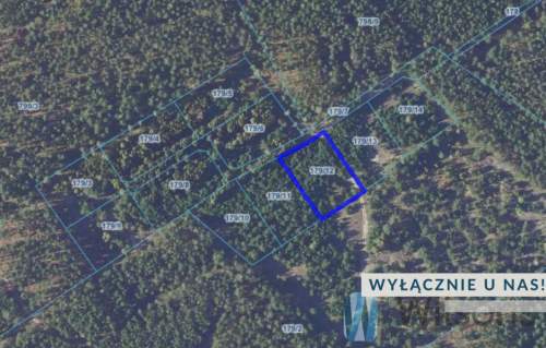 Działka rolna 3010 m2 / Opaleniec / Chorzele