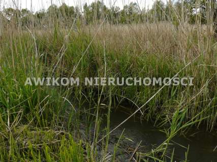 Działka budowlana na sprzedaż, 1500 m2, Sewerynów