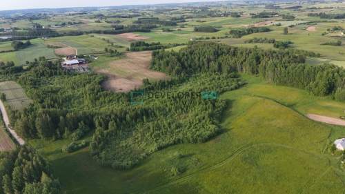 Działka 13,12 ha Użmauda gm Wiżajny