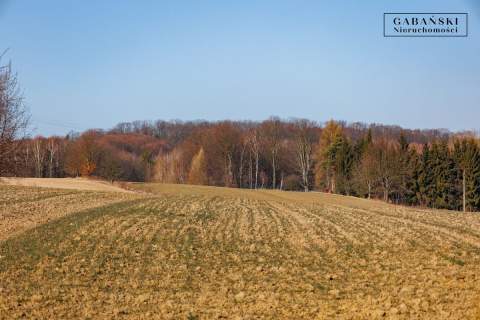 Działki budowlane - Łękawica koło Tarnowa