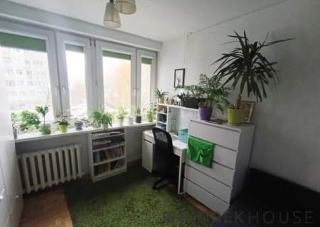3-pokojowe mieszkanie w Śródmieściu