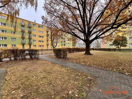 KOMPAKTOWE KAWALERKJA NA GRUNWALDZIE