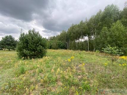 Działka budowlana w Gołąbku 1514m 