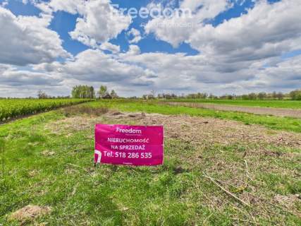 Siedlisko bez sąsiadów 0,41 ha,gm.Drelów