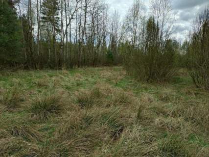 Działka rekreacyjna na sprzedaż, 300 m2, Koniecpol