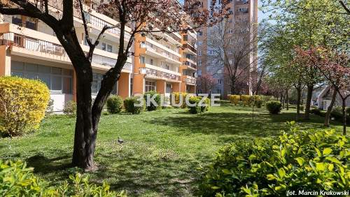 Dwa pokoje Czuby - Bursztynowa
